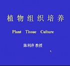 浙江大学植物组织培养