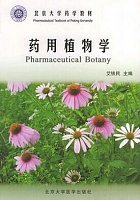 莱芜职业技术学院 药用植物学课件