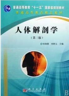 浙江海洋学院 人体解剖学25讲视频