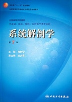 中国医科大学 系统解剖学