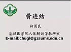 中山大学人体解剖学