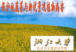 浙江大学保护地蔬菜与新优景观植物病害视频共8讲