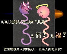山东师范大学微生物学课件