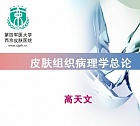 第四军医大学 病理专栏 共26讲