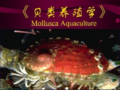 浙江海洋学院 贝类养殖学共32讲视频