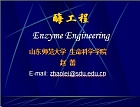 山东师范大学 酶工程课件