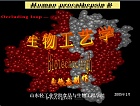 山东轻工业学院 生物工艺学课件