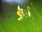 华东理工大学 酶工程课件