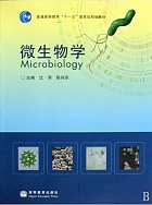 宁夏大学 微生物学课件