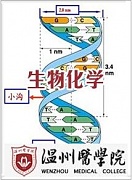 温州医学院 医学生物化学