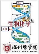 温州医学院 医学生物化学