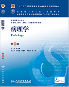 吉林大学病理解剖学视频共51讲