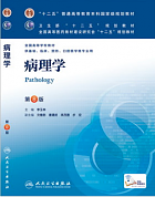 吉林大学病理学视频共48讲