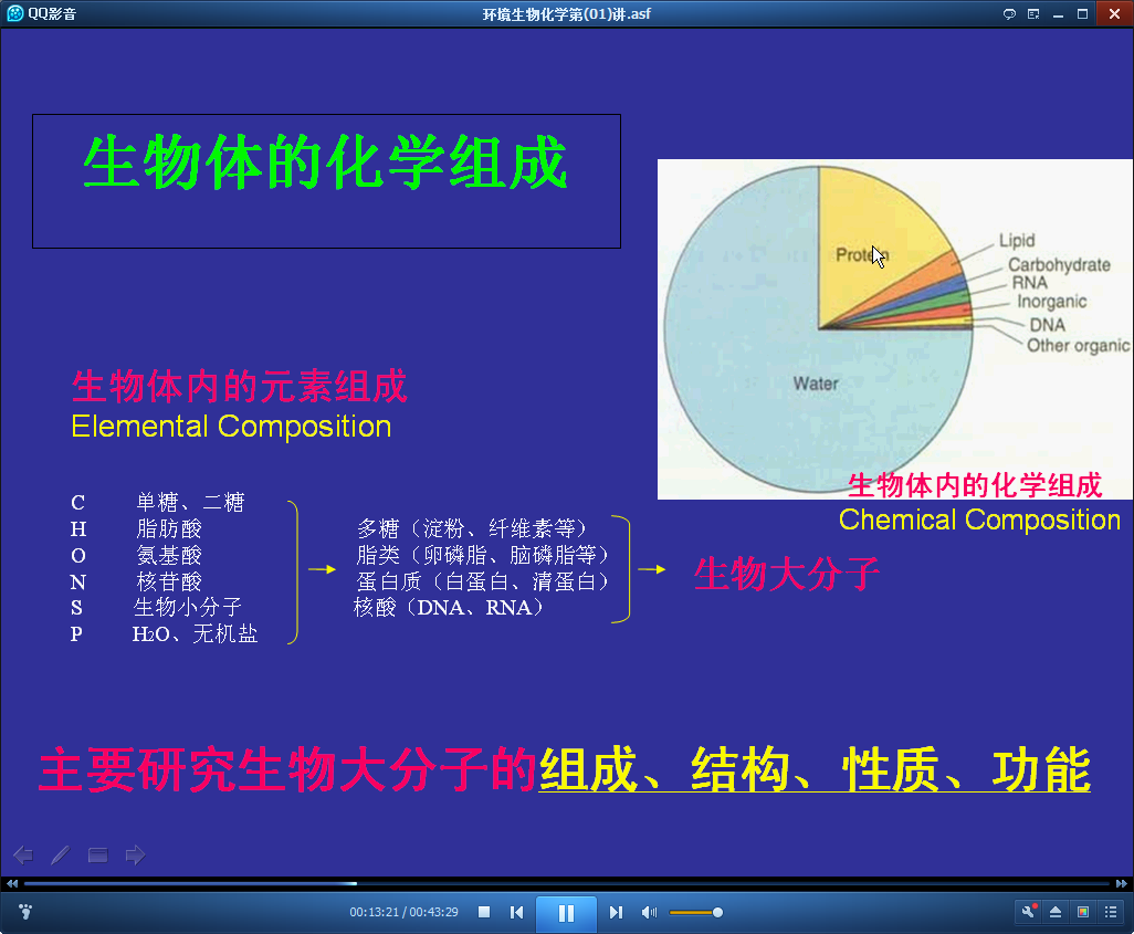 生物体的化学组成