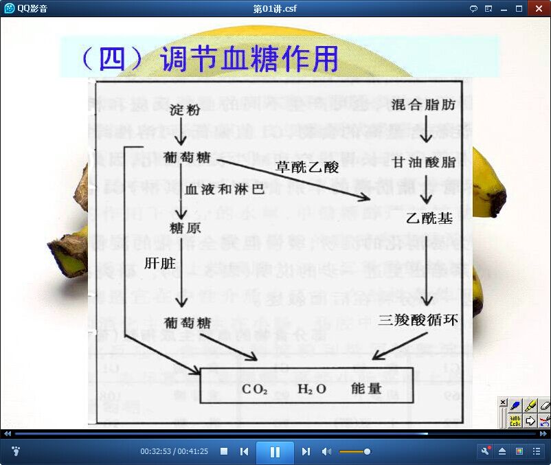临床营养学公开课