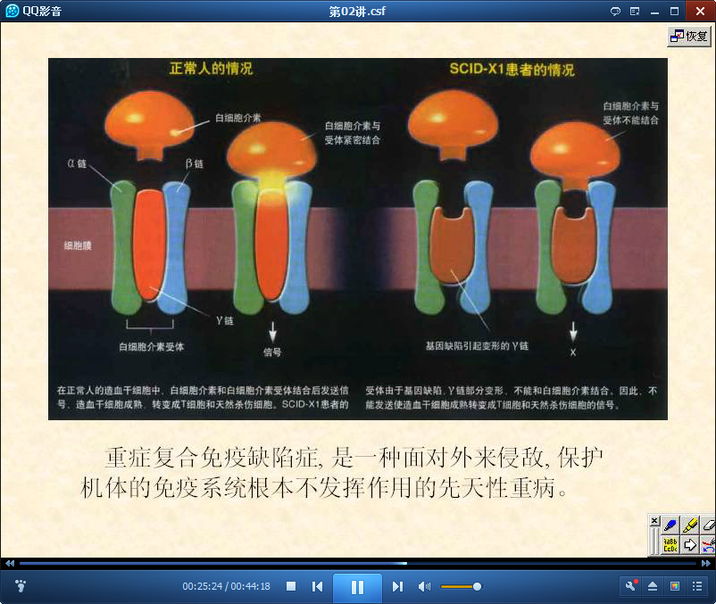 细胞生物学视频