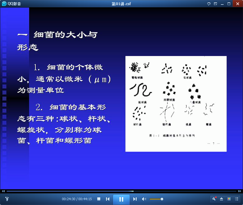 医学微生物学公开课